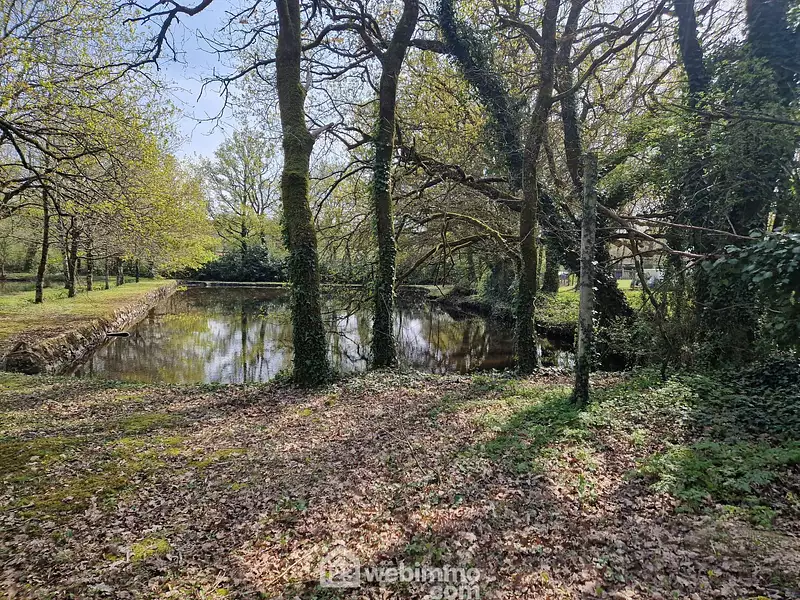Étang d'agrément à Venansault — photo 2