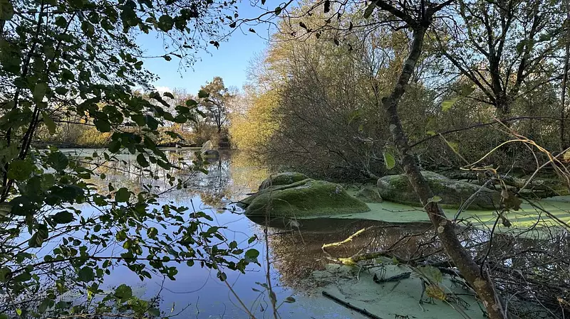 Étang d'agrément à Rives de l'Yon — photo 2
