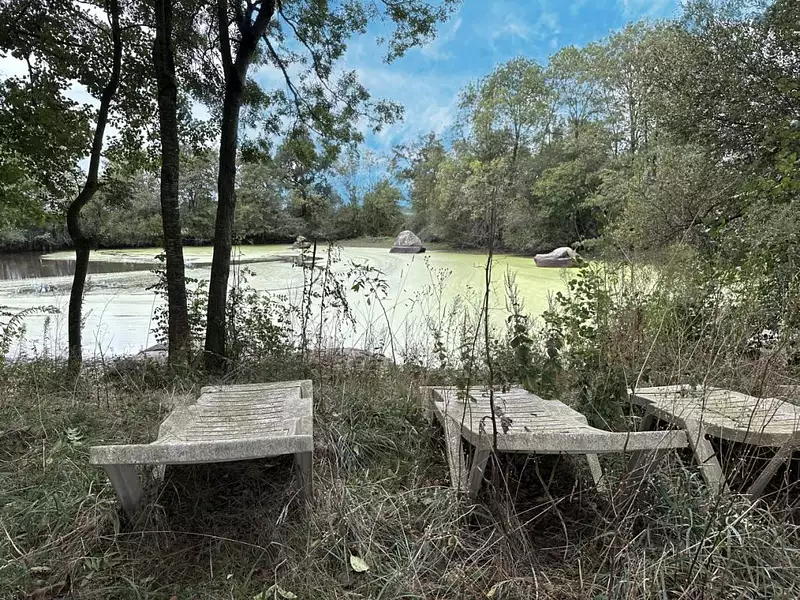 Étang d'agrément à Rives de l'Yon — photo 3