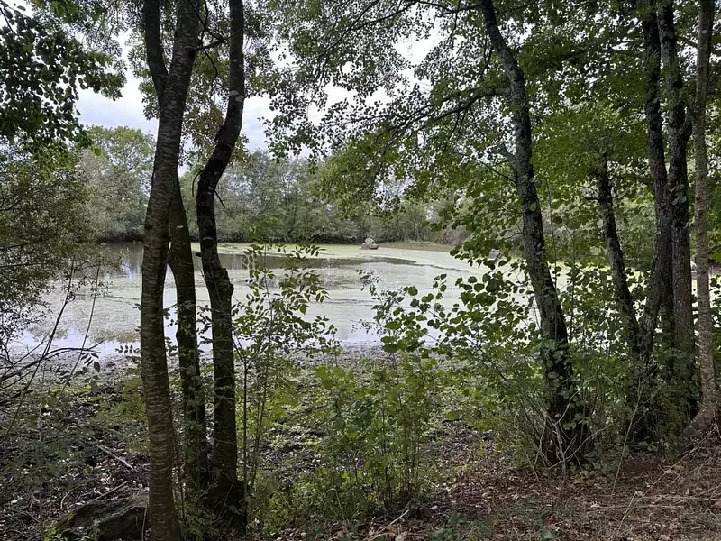 Étang d'agrément à Rives de l'Yon — photo 5