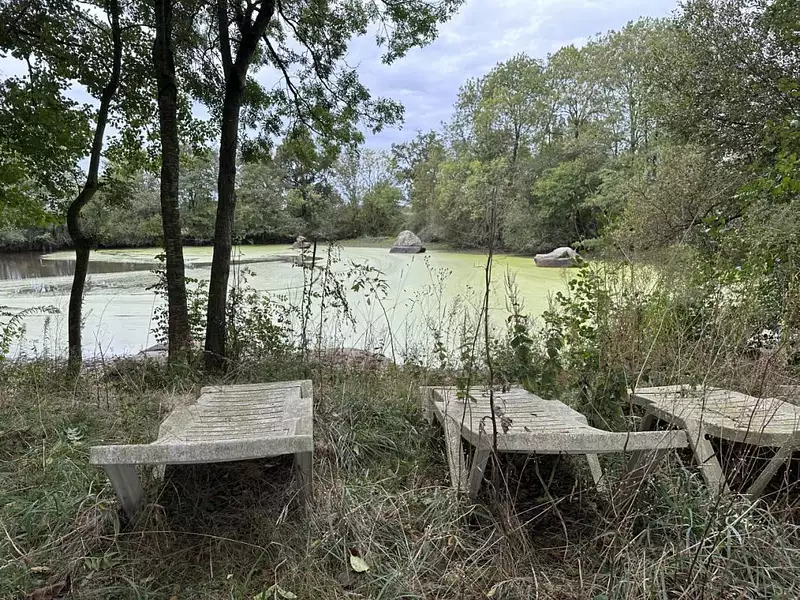 Étang d'agrément à Rives de l'Yon — photo 4