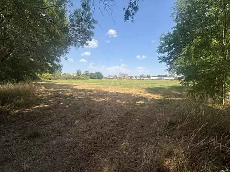Étang d'agrément à Montréverd — photo 2