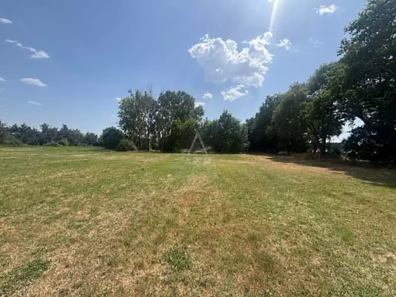 Étang d'agrément à Montréverd — photo 3