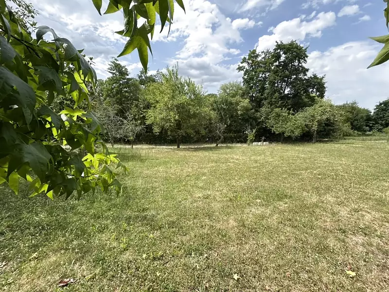 Étang d'agrément à Divatte-sur-Loire — photo 4
