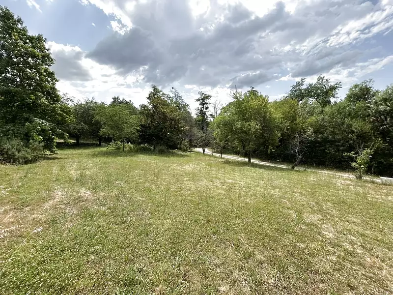 Étang d'agrément à Divatte-sur-Loire — photo 3