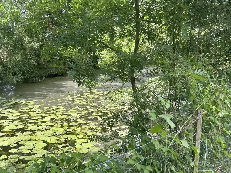 Étang d'agrément à Divatte-sur-Loire