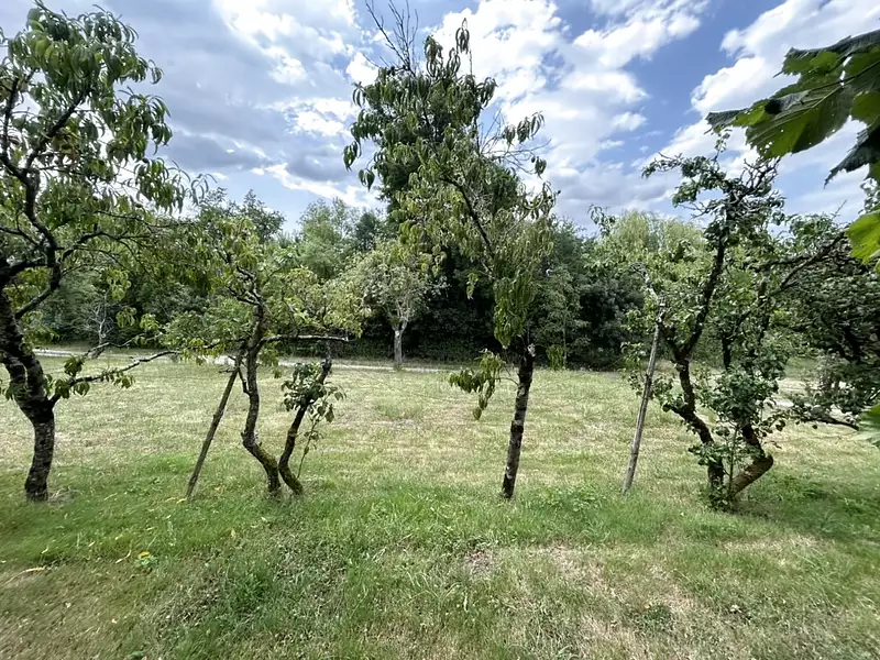 Étang d'agrément à Divatte-sur-Loire — photo 2