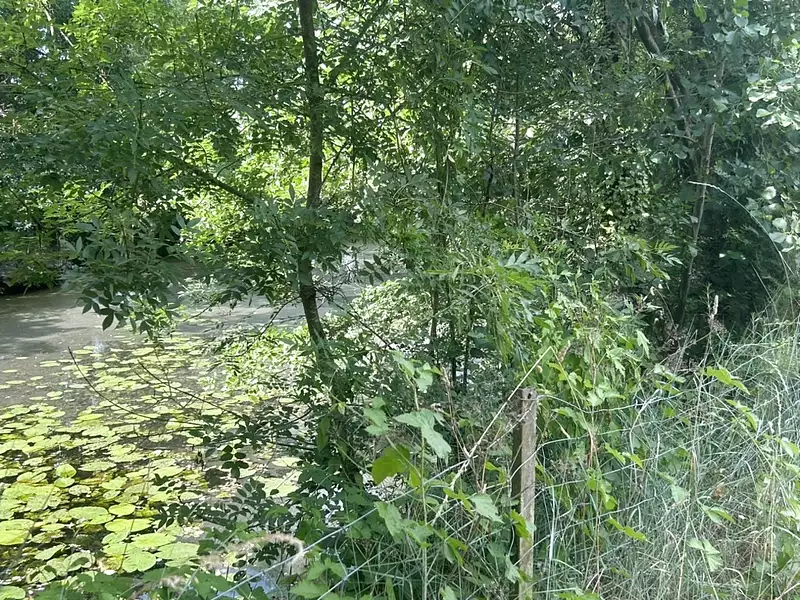 Étang d'agrément à Divatte-sur-Loire — photo 3