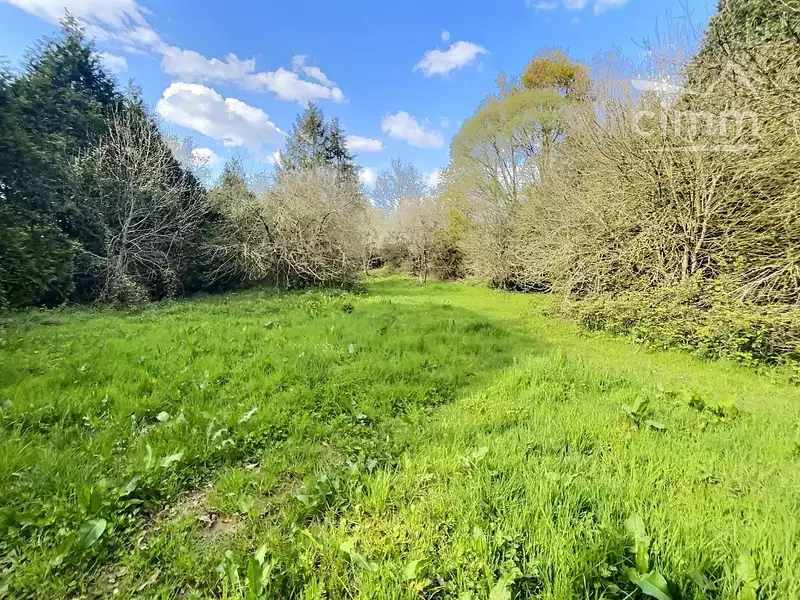 Leisure lake and woodland, 1.1 ha near Nozay, Loire-Atlantique — photo 5