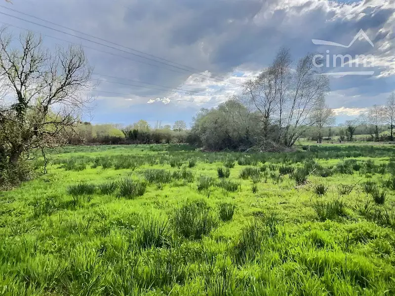 Étang d'agrément à Nozay — photo 4