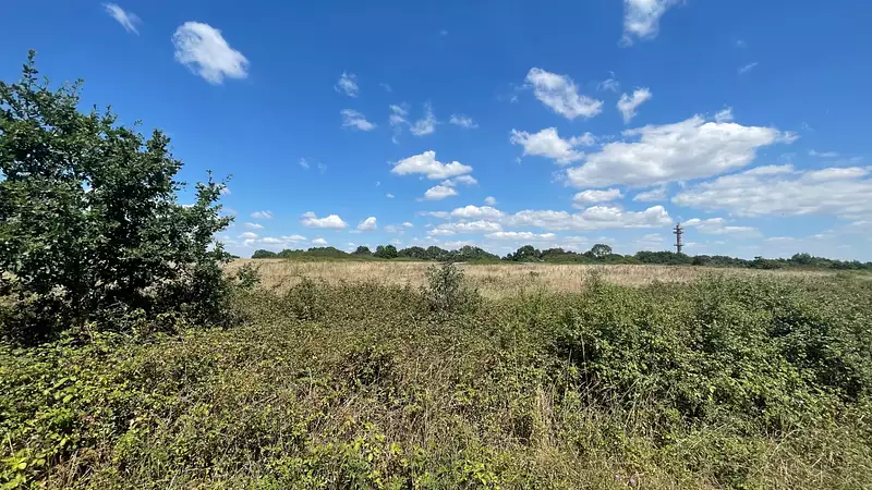 Étang d'agrément à Saint-Christophe-du-Ligneron — photo 2
