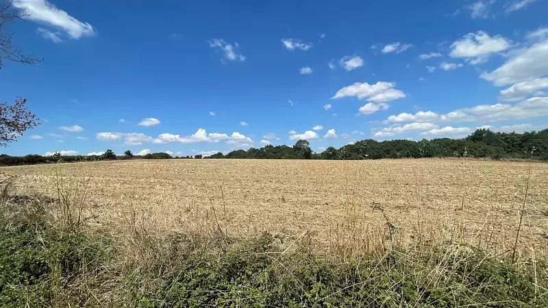 Étang d'agrément à Saint-Christophe-du-Ligneron — photo 3