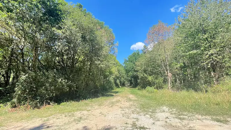 Étang d'agrément à Saint-Christophe-du-Ligneron — photo 3