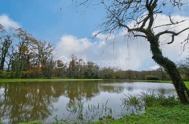 Étang de pêche à Montsûrs