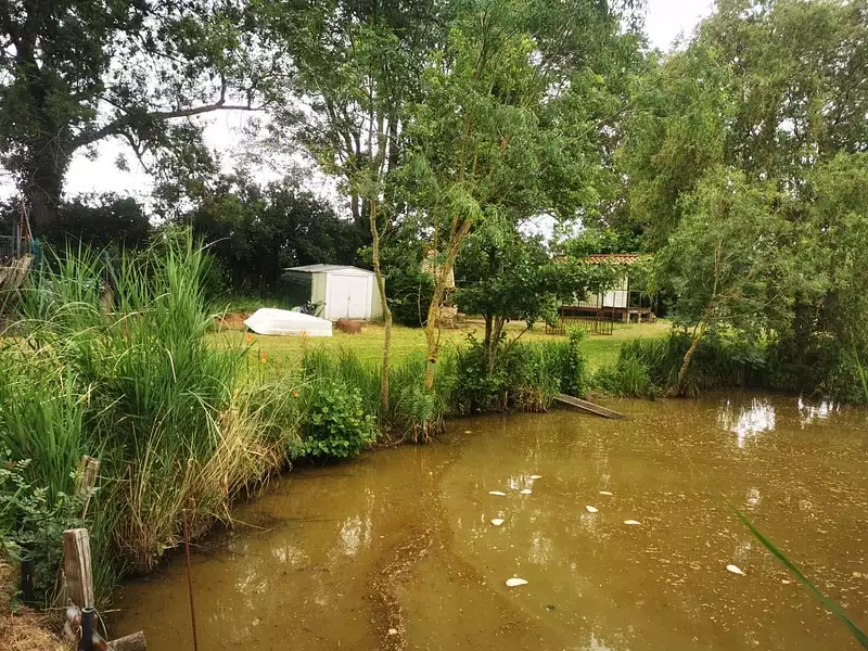 Étang d'agrément à Talmont-Saint-Hilaire