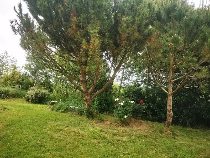 Étang d'agrément à Talmont-Saint-Hilaire — photo 2