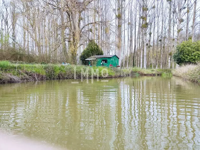 Fishing lake, 1 hectare in the Loire Valley — photo 2