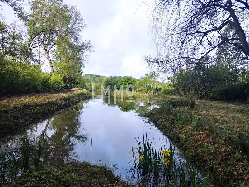 Étang de pêche à Vaas