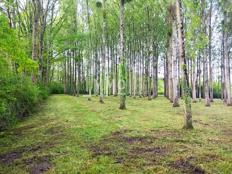 Étang de pêche à Vaas