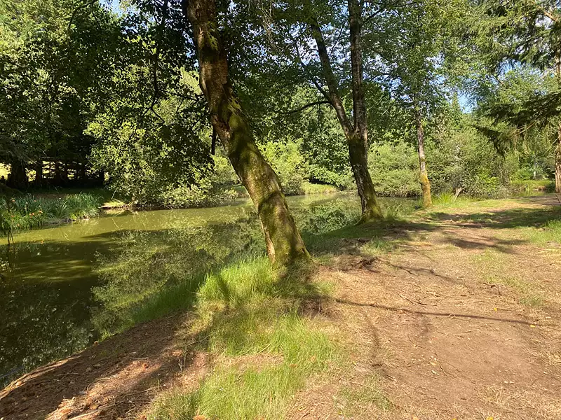 Étang d'agrément à Larchamp — photo 5