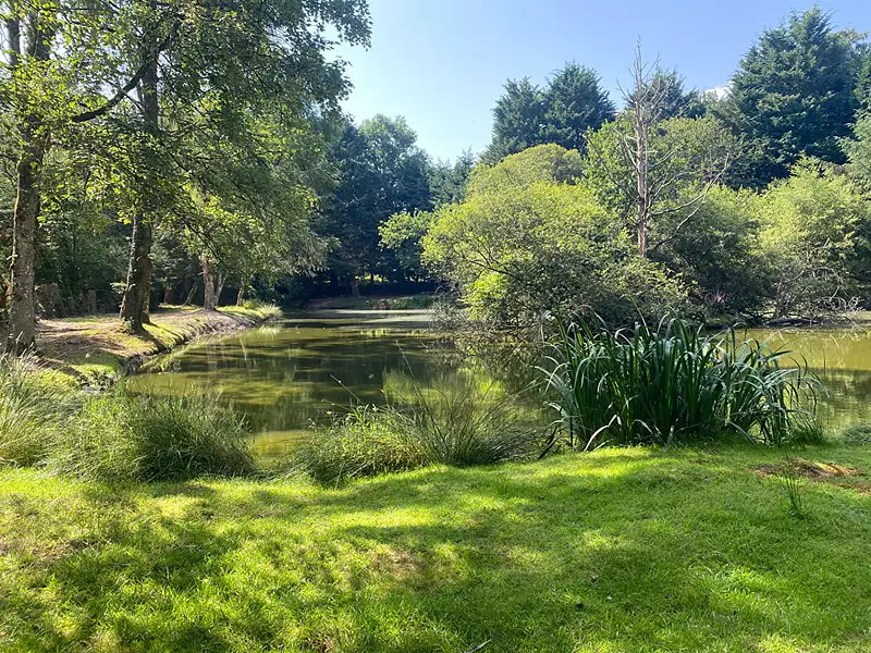 Étang d'agrément à Larchamp — photo 2