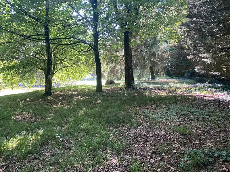 Étang d'agrément à Larchamp — photo 4