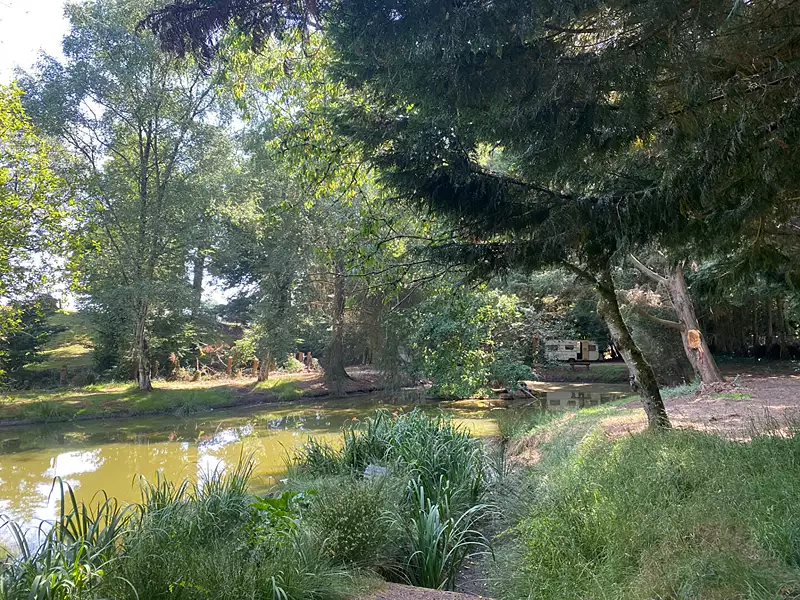 Étang d'agrément à Larchamp — photo 3