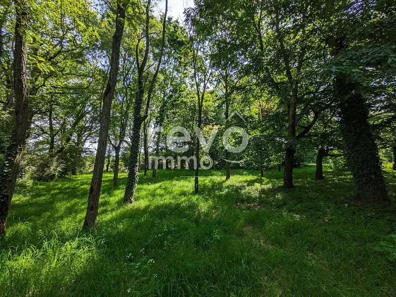 Étang d'agrément à Saint-Colomban — photo 4