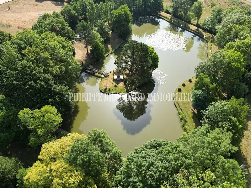 Étang de pêche à Le Poiré-sur-Vie — photo 4