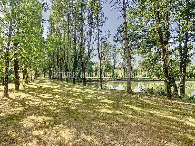 Étang de pêche à Le Poiré-sur-Vie — photo 2