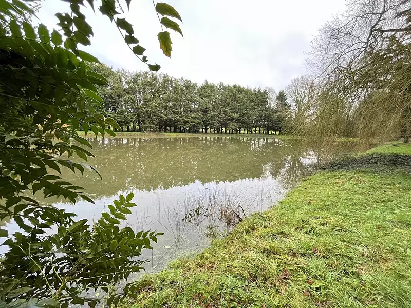 Étang d'agrément à Saint-Poix — photo 2