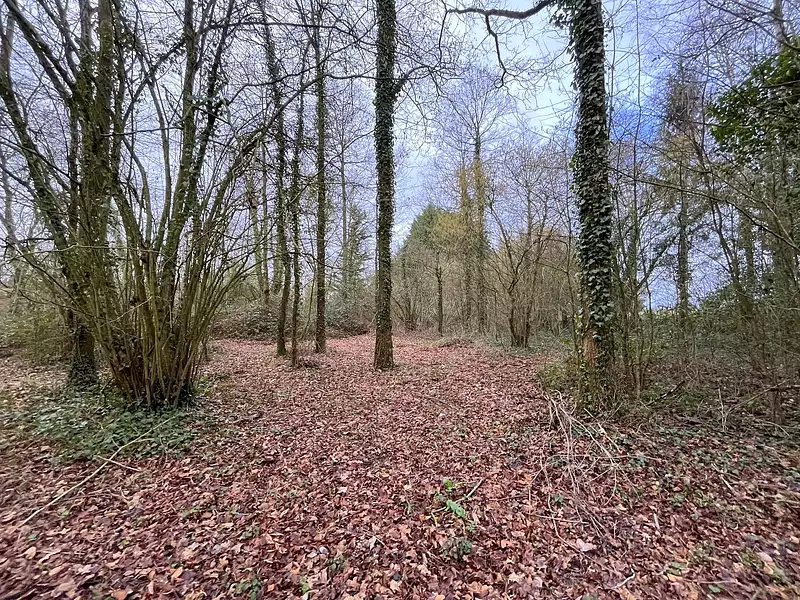 Étang d'agrément à Saint-Poix — photo 3
