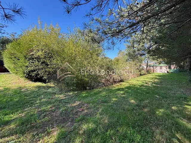 Étang d'agrément à Talmont-Saint-Hilaire — photo 4