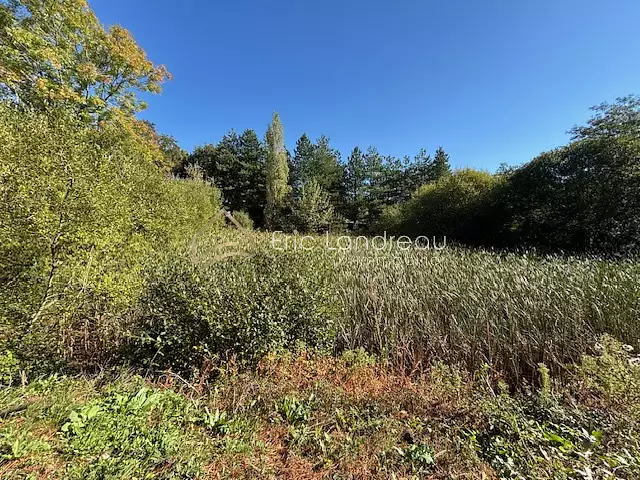 Étang d'agrément à Talmont-Saint-Hilaire