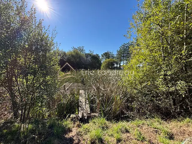 Étang d'agrément à Talmont-Saint-Hilaire — photo 2