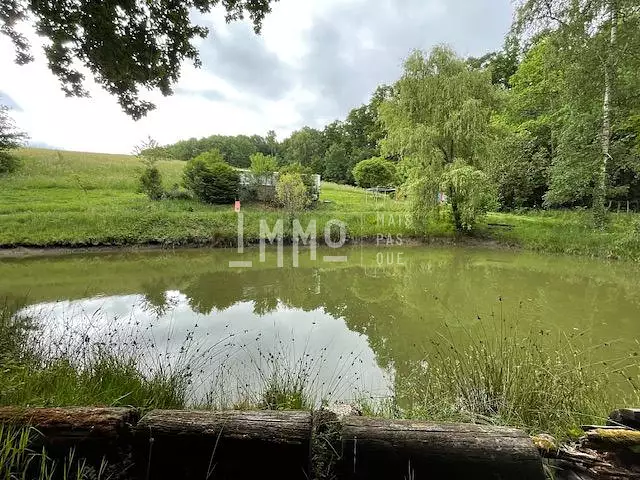 Étang d'agrément à Cormes — photo 2