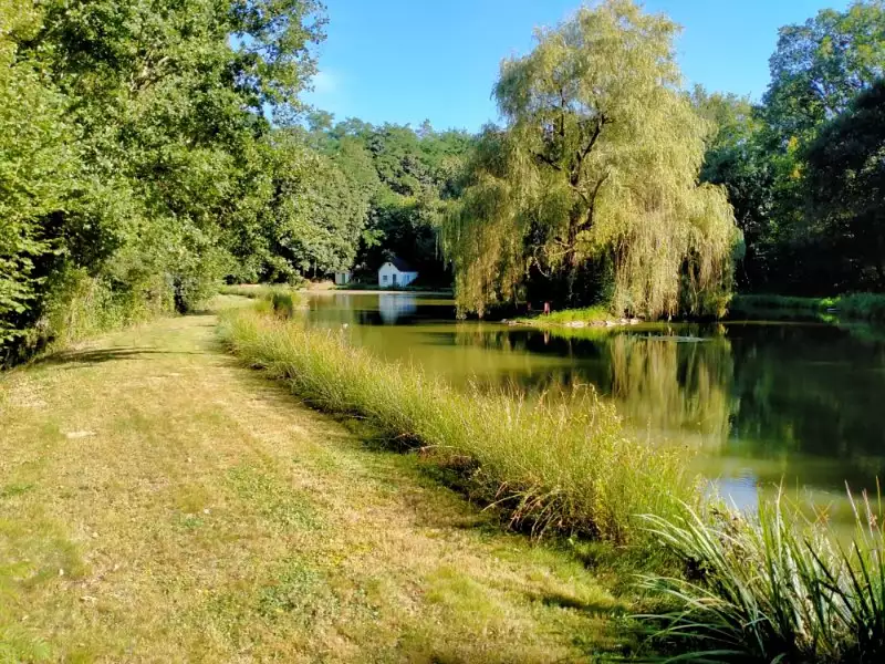 Étang d'agrément à Mayenne — photo 2
