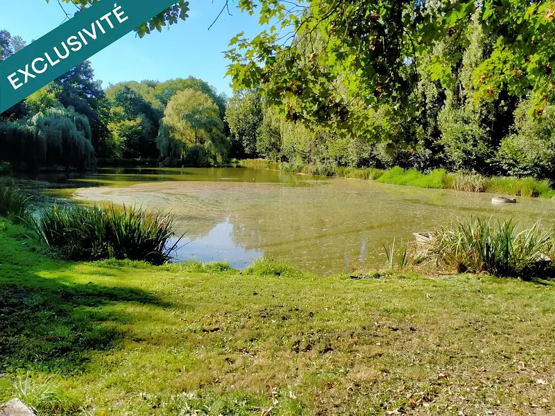 Étang d'agrément à Mayenne