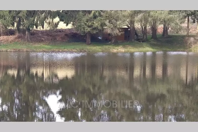 Private fishing lake, 2,400 m² with woodland in Mayenne — photo 3