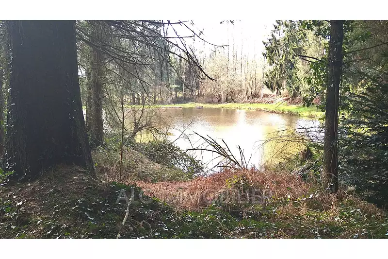 Private fishing lake, 2,400 m² with woodland in Mayenne — photo 5