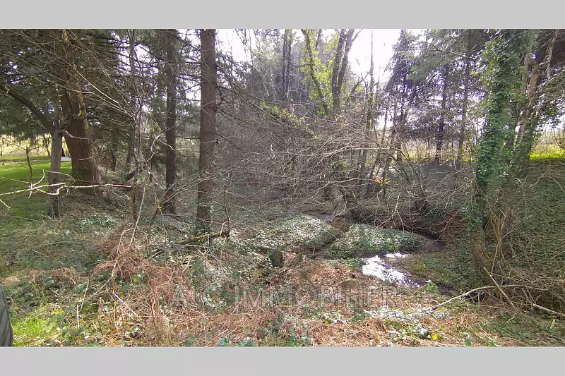 Étang de pêche à Loupfougères — photo 2