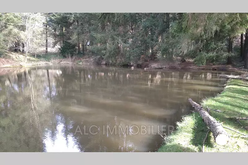 Étang de pêche à Loupfougères — photo 3