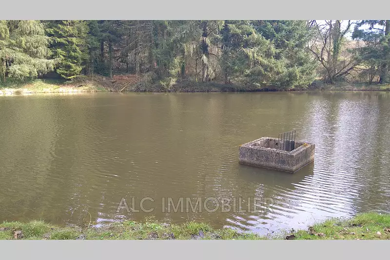 Étang de pêche à Loupfougères — photo 4