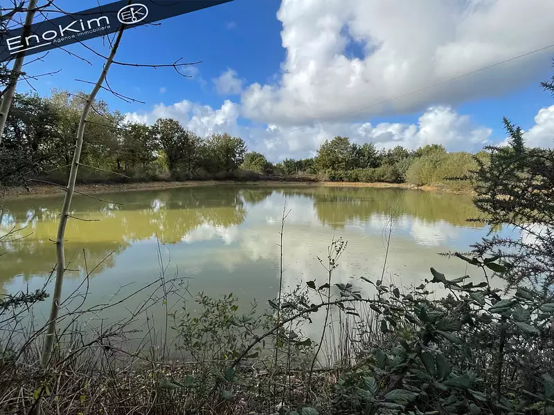 Étang d'agrément à Talmont-Saint-Hilaire — photo 2