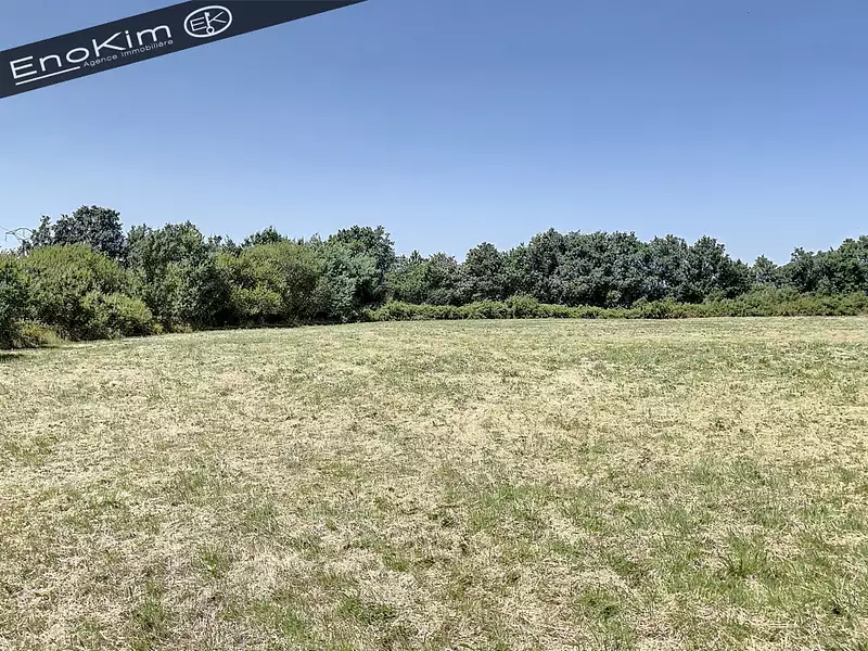 Étang d'agrément à Talmont-Saint-Hilaire — photo 3